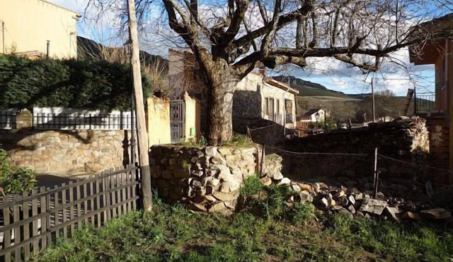 Detached house with garden