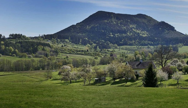 Detached house with character