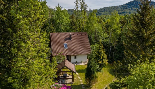 Detached house at 100m distance of the lake, surrounded by beautiful nature and with BBQ