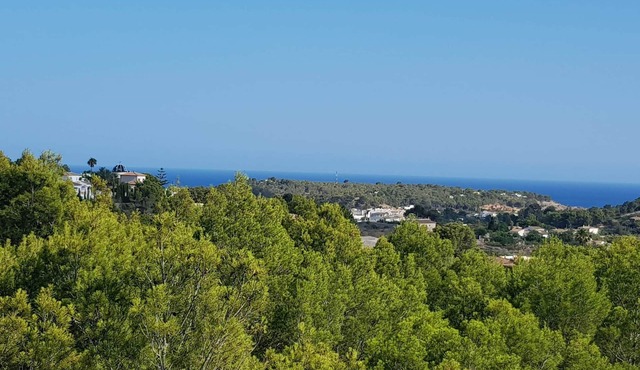 Detached house with terrace in the middle of a pine forest with sea view