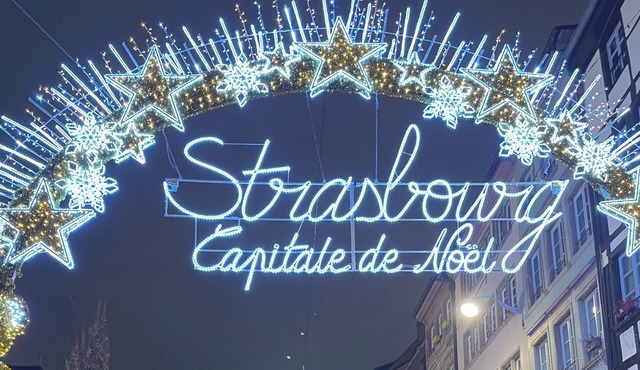 Detached house 25 m² with garden & jacuzzi - near Strasbourg