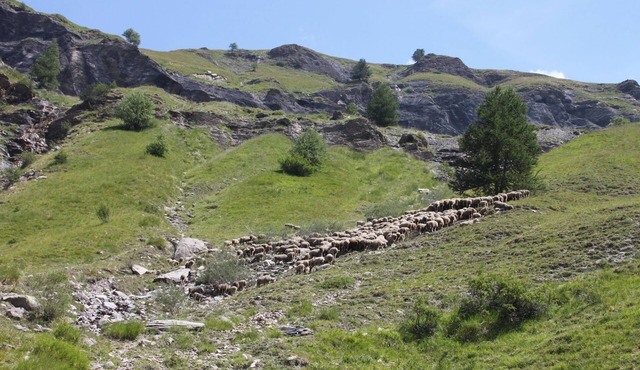 Detached house ideally located