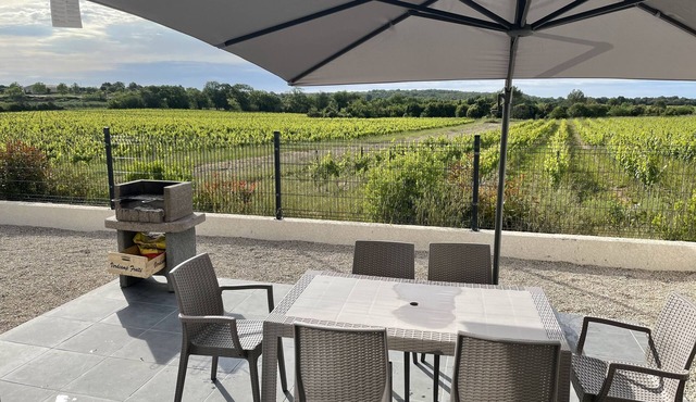 Detached house on the edge of the vineyards
