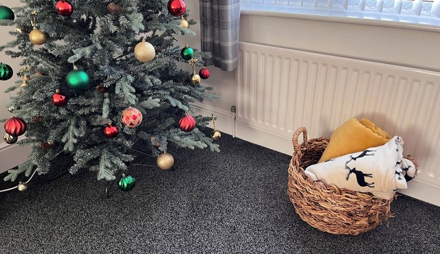 Detached, spacious upper-floor maisonette with garden by the sea. Pet friendly!