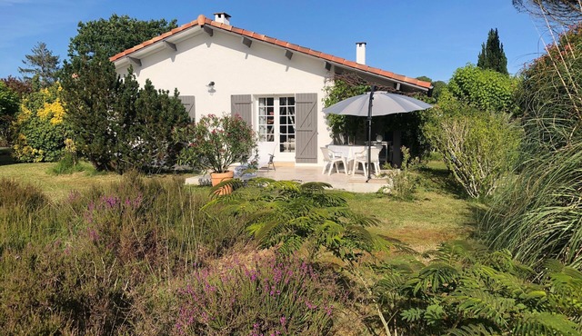 Detached vacation home " Landaise " with new pool in 2026, 5 km from Contis