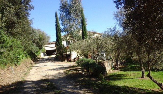 Detached villa in the Provencal countryside between Hyeres and St Tropez