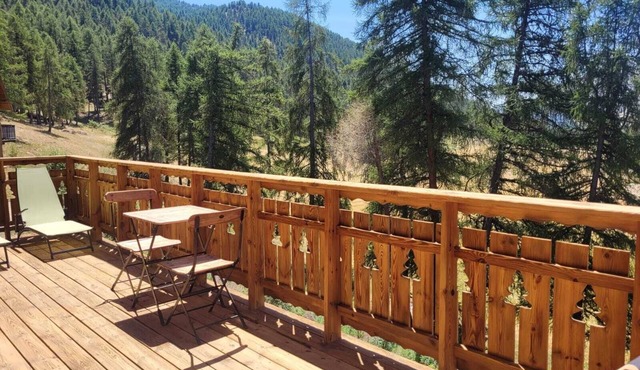 Detached wooden chalet, La Joue du Loup (200m walk to ski slopes and shops)