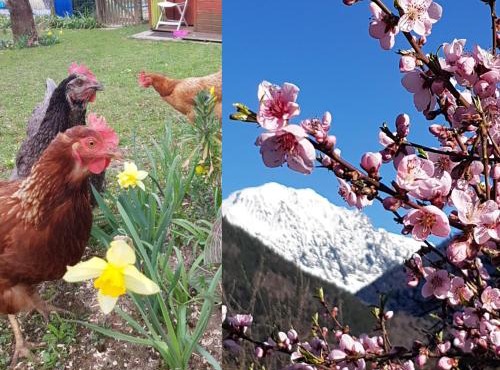 DETENTE NATURE rando, ski , thermes