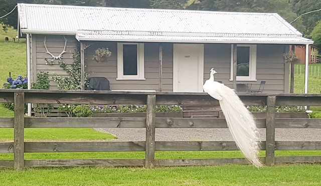 Devcich Historic Farmstead - Cottage