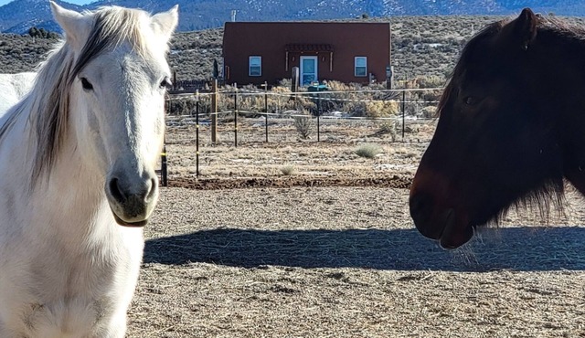 Devine Casita - Stunning 360 Views! Dogs OK - Sweet Casita <1 mile to Trails