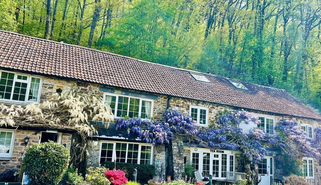 Devon 6-Bed Cottage with Country Views & Parking