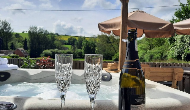 Devon Holiday Home. nHot Tub, Play Area & games Room Country Views. n12 Guests