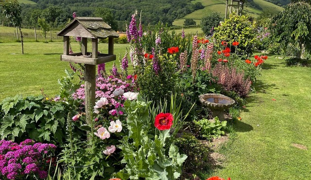 Devon rural country B&B Suite of rooms with guest lounge and bathroom.