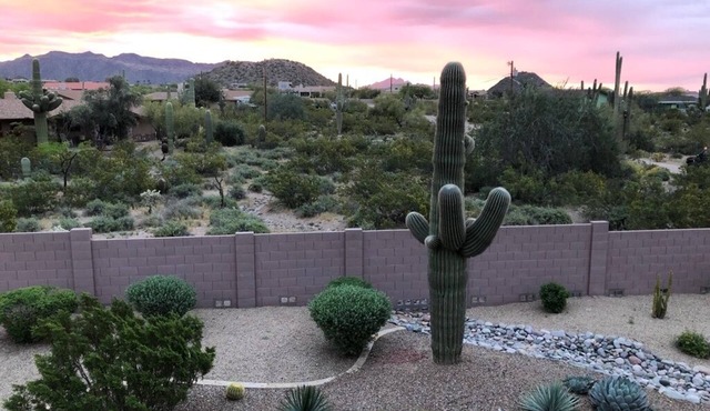 Diamond in the Desert ! A Private Oasis with Family and Friends