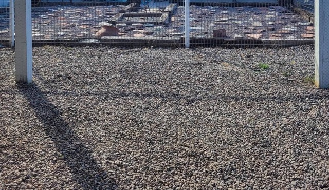 DIAMOND IN THE ROUGH WITH MOST OF THE AMENITIES IN BELEN, NEW MEXICO