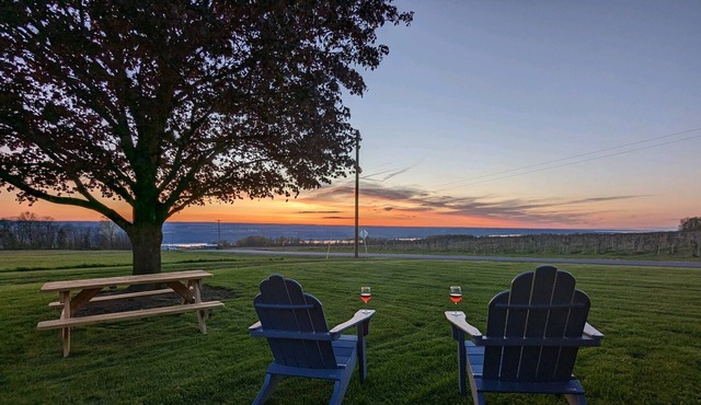 Diamond in the Vines, the heart of FLX wine county
