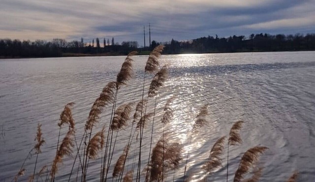 Diamond Room - 2O min to Paris