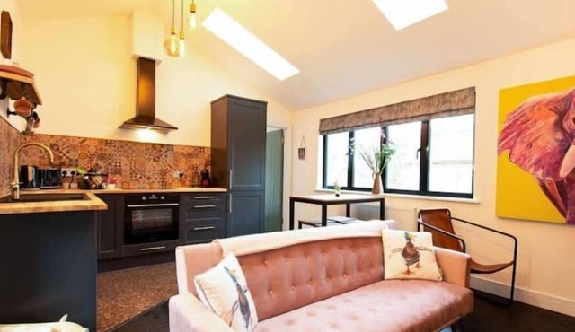 Diesel's Desirable Den, Dogs Welcome, Parking