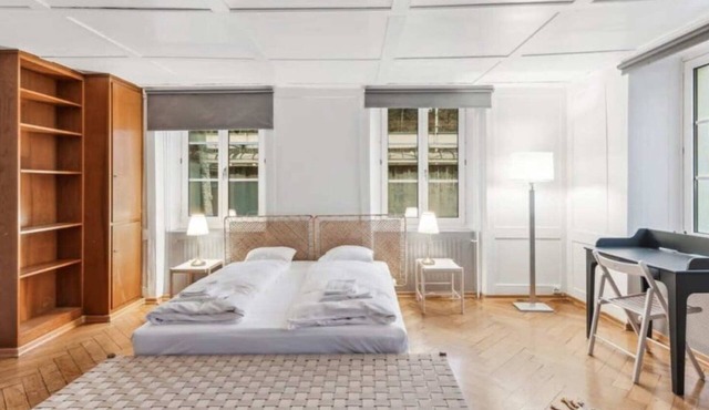 Dietikon Apartment with Fully Equipped Kitchen