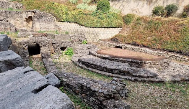 Dify Jarente - Quartier Ainay