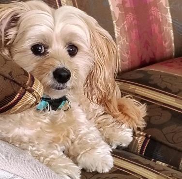 Digby Bed and Breakfast