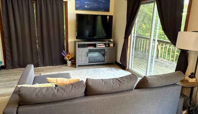 Digital Detox Cabin, Wi-Fi hotspot available for add on, Boat Ramp access across the street