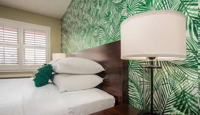 Digital Retro Boutique Hotel - Single Queen Near Downtown St. Augustine & the Beach
