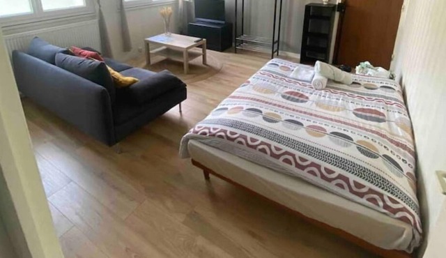 Dijon - Large studio near Parc Darcy & train station