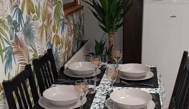 DIJON Super apartment F1 bis air-conditioned mezzanine