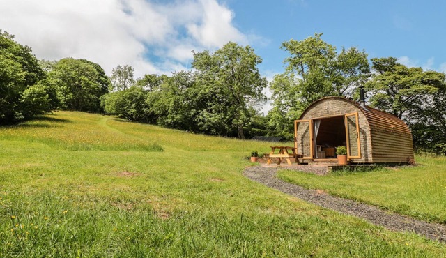 DINGLE DEN, pet friendly, with open fire in Craswall