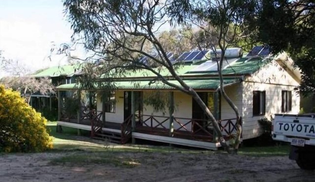 ⭐ 🐠⭐ Dingosden Happy Valley⭐️🐠⭐️