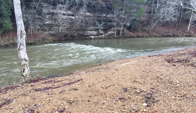 Direct access camping on the Buffalo River with bathrooms/showers!