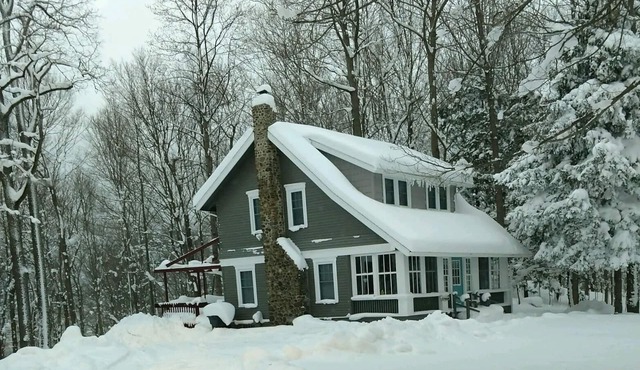 DIRECT beach access from property - 5 lakefront acres