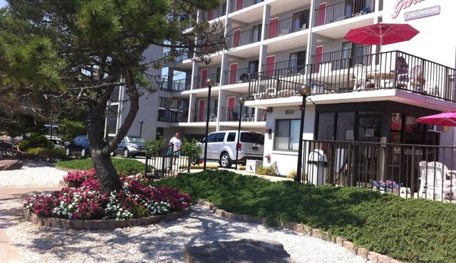 Direct Beachfront Condo With Great Ocean Views From Couch Or On The Porch