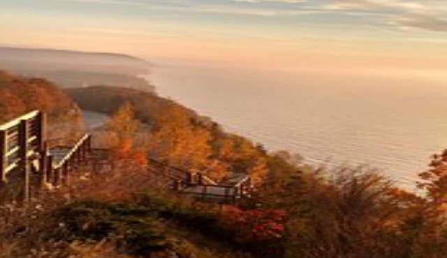 DIRECT Lake Michigan Access! WALK to Beach! Arcadia BLUFFS 2mi! 2 SEPARATE UNITS