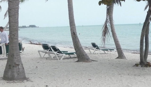 Direct Ocean View from Your Condo-No Contact Check-In