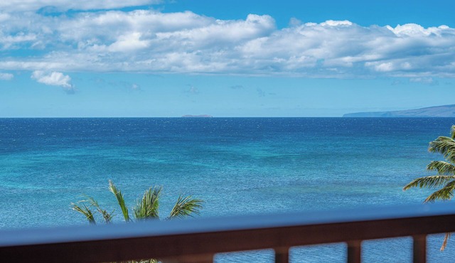 Direct Oceanfront Newly Remodeled!