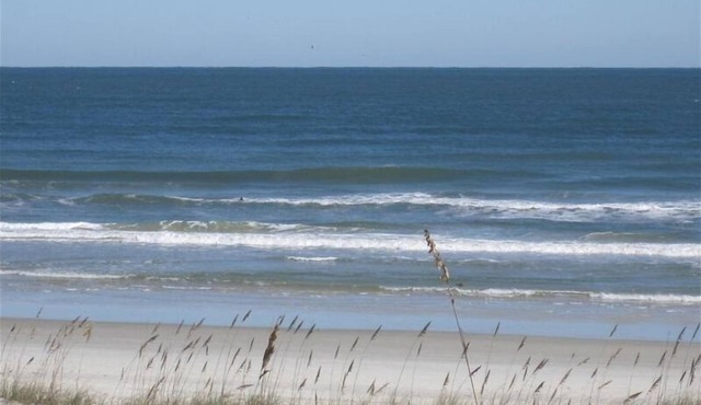 Direct Oceanfront & private, dog friendly, 2BR house, Spring & Summer 2026 avail
