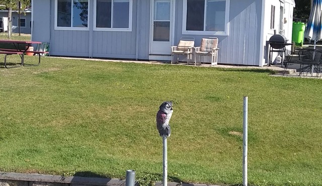 Direct silver lake lakefront3 bedroom cottage