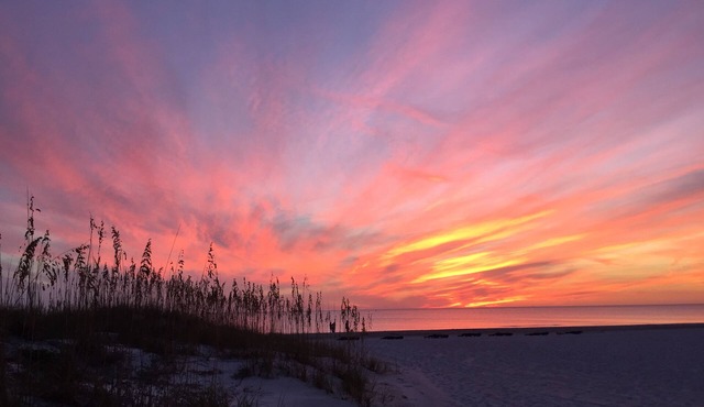 Directly on the Beach