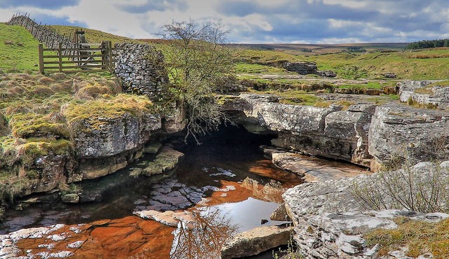 Disability accessible cottage on a working sheep farm.