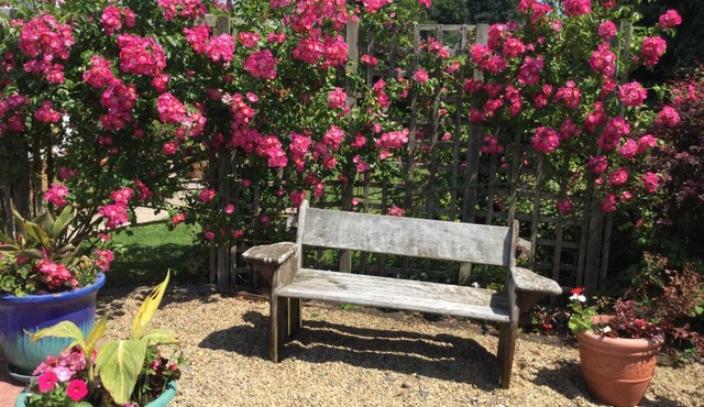 Disabled friendly BnB with gorgeous garden