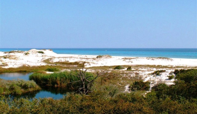 Discover a True Gem by the Sea surrounded by Grayton State Park and the Gulf
