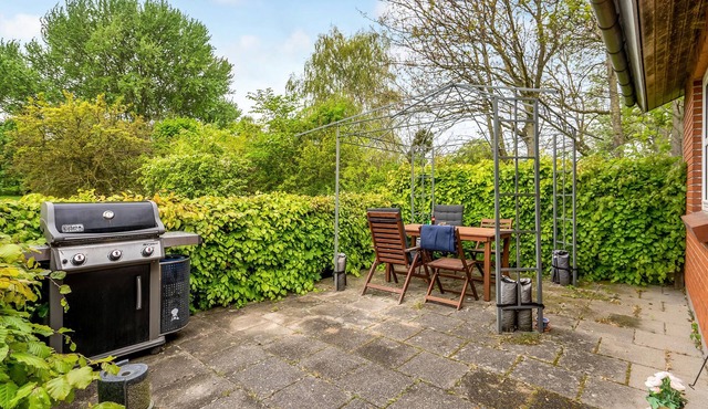 Discover Falster - Enjoy the nature of Denmark.