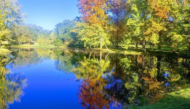 Discover Lake Farmhouse next to 100 acres