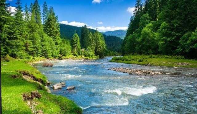 Discover Lakes, Rivers, Tahoe National Forest