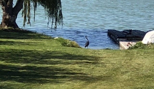 Discover Moses Lake steps away