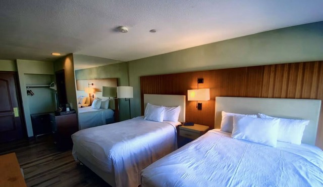 Discover Nature’s Beauty – Double Queen Room w/Free Parking and All-Season Fun