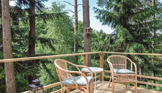 Discover peace and nature in this cosy house in the Bryrup forest