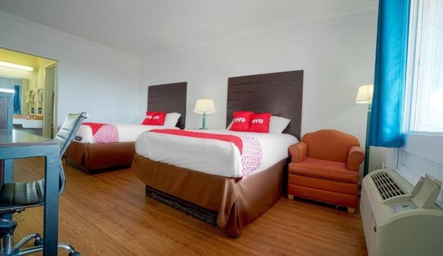 Discover Pet Friendly Room With Free Parking Near King Ranch Museum